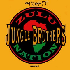 Jungle Brothers | Straight Out the Jungle (1988)