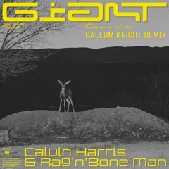 Calvin Harris & Rag'n'Bone Man - Giant (Callum Knight Remix)