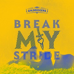Matthew Wilder - Break My Stride (GOLDDIGGER$ Bootleg)