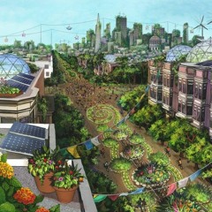 Building Without a Permit Instrumental