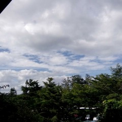 Grace Carter Why Her Not Me