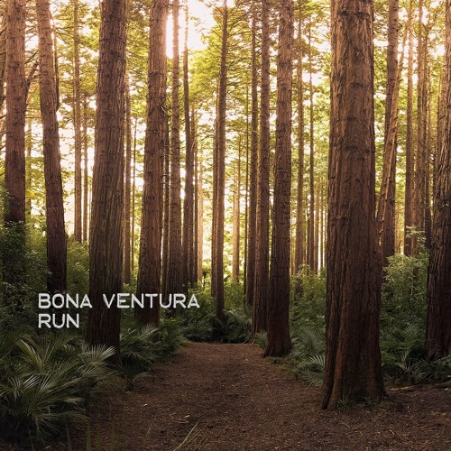 Stream Snow Patrol - Run (Cover By Bona Ventura) by Bona Ventura | Listen  online for free on SoundCloud
