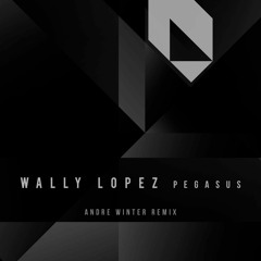Wally Lopez - Pegasus (AndréWinter RMX)