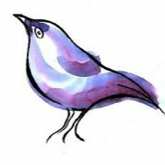 Conversation With Birds