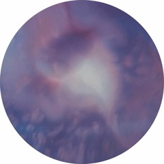 Nick Beringer - Cryonics EP (RBSC007)