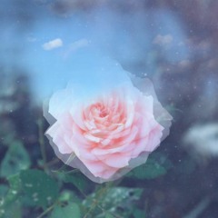 Closer & Say You Won't Let Go