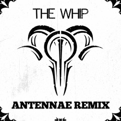 The Whip (An-Ten-Nae Remix)