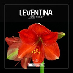 Leventina - Space Control