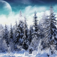 Winter wind /NEKONOME