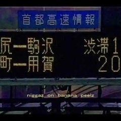 hym - niggaz on peelz