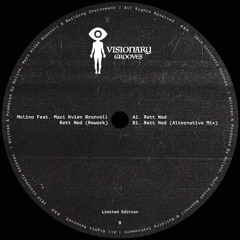 Premiere : Molino feat. Mari Kvien Brunvoll - Rett Ned (Alternative Mix) (VGRVS001)