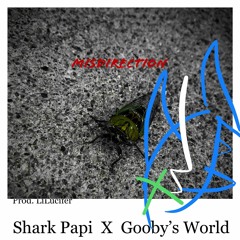 Misdirection (Ft. Gooby'sWorld) [prod.LiLucifer]