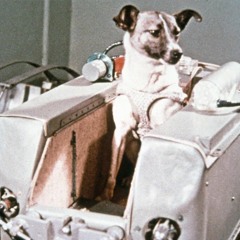 Unejutt kosmosekoer Laikast