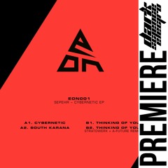 PREMIERE: Sepehr - Cybernetic (EON Records)