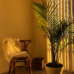 golden hour