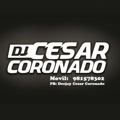MIX - ENTREGATE - SALSA Y TIMBA (Deejay Cesar)