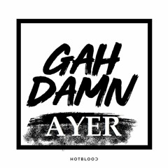 Hotblood vs Flo Rida - Gah Damn Ayer (Hitchy Mashup)