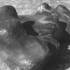 Introdução à Pedra