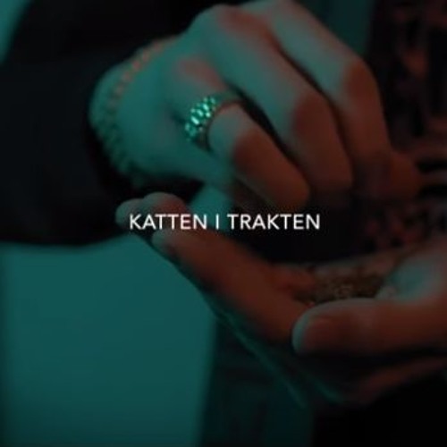 Einár - Katten i Trakten (Remix) by skuggaN Listen for free on SoundCloud