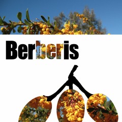 BRS 210 Dubmax - Gravity (Original Dub Mix) preview