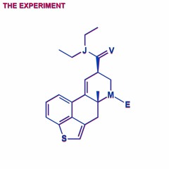 The Experiment [Free Download]
