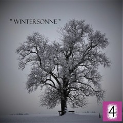 # Wintersonne #  Unusual 4 RadioShow 02/2019 (Tom Niedez - Tanz!Effekt)