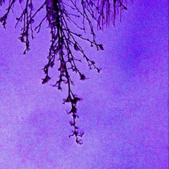 HEARTLESS (Prod. by Lobo)