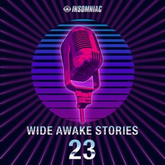 Wide Awake Stories #023 ft. Ferry Corsten & Infected Mushroom