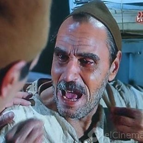 موسيقي .. المواطن مصري