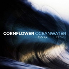 Oceanwater - feat. Jeff Pevar
