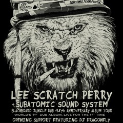 DRAGONFLY - DUB & FLY (OPENING SET LEE SCRATCH PERRY & SUBATOMIC SOUNDSYSTEM)