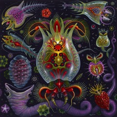 ECOSYSTEM