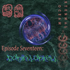 Episode Seventeen - Robin Lohrey