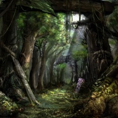 Magic Forest