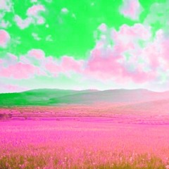 O p e n