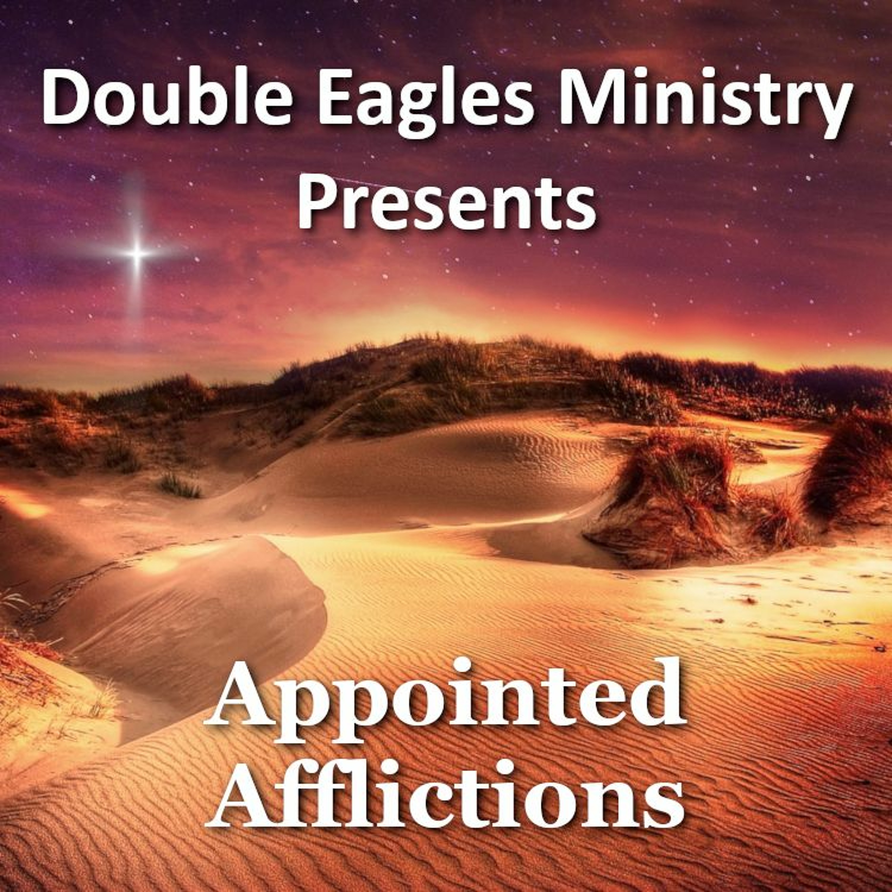 Appointed Afflictions episode artwork