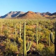 Sonoran Sounds Vol.1 (Arizona folk-psych-groove)