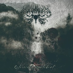 Coldnight - The White Crow