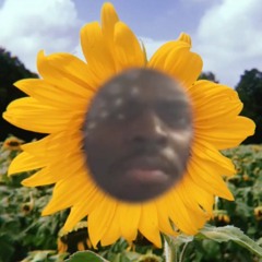 Sunflower Swae Lee / Post Malone (Carter Ace Remix)