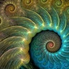 Recurve -  Alexi x Ray