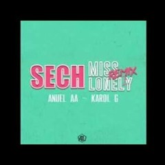 Miss Lonely (Remix2)