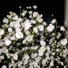 The Sound of Bubblegrunge