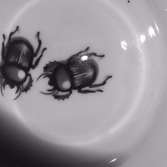 Instead of Roses (Prod. By Frakcija, YungGod)