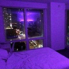 NEON SEX AND PERCOCETS