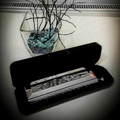 Waltz from The Godfather (Chromatic harmonica)
