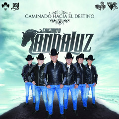 Conjunto Andaluz - La Gitanilla / 2019