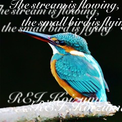 The stream is flowing, the small bird is flying