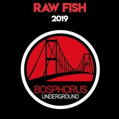 Raw Fish - 2019 (Original MIx) [Bosphorus Underground]