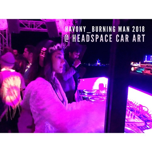 Havony_Burning Man 2018 @Headspace Car Art