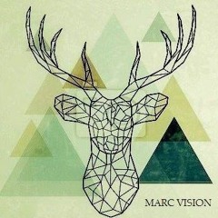 Marc Vision @ Belgium Tau Priv.